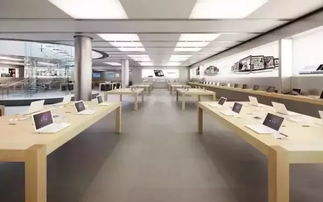 家電零售店回頭客超六成，口碑與服務(wù)鑄就穩(wěn)固客群